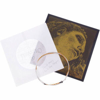 Струны для скрипки Pirastro Evah Pirazzi Gold G-SI BE Pirastro Evah Pirazzi Gold G-SI BE