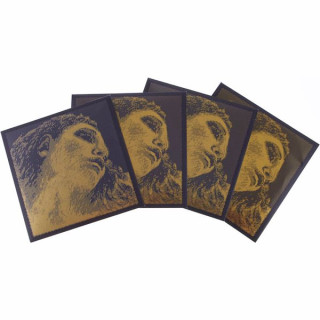 Струны для скрипки Pirastro Evah Pirazzi Gold G-SI BE Pirastro Evah Pirazzi Gold G-SI BE