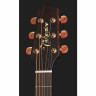 Такамин P3DC Takamine P3DC