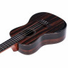 Укулеле Kala Premier Ebony C-Ukulele Kala Premier Ebony C-Ukulele