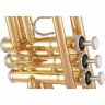 Труба Yamaha YTR-4335 GII Bb- Trumpet Набор №517004 Yamaha YTR-4335 GII Bb- Trumpet Bundle №517004