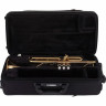 Труба Yamaha YTR-4335 GII Bb- Trumpet Набор №517004 Yamaha YTR-4335 GII Bb- Trumpet Bundle №517004
