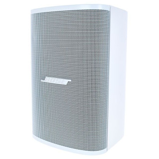 Bose Professional Veritas 1100BH Набор №651221 Bose Professional Veritas 1100BH Bundle №651221