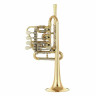 Труба пикколо Schagerl Berlin Piccolo Trumpet L Schagerl Berlin Piccolo Trumpet L