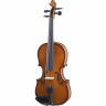 Stentor SR1500 Скрипка студенческая II 1/8 Stentor SR1500 Violin Student II 1/8