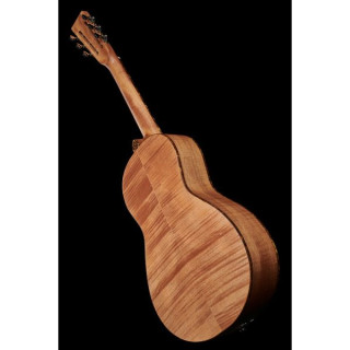 Первостепенный Тигровый клен с маленьким крылом Paramount Little Wing Tiger Maple