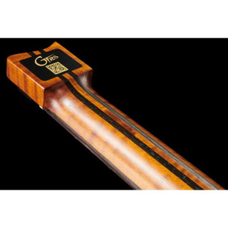 Электрогитара Mooer GTRS Guitars Wing 900 Int API Mooer GTRS Guitars Wing 900 Int API