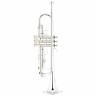 Thomann TR 200 S Bb-труба Набор №422770 Thomann TR 200 S Bb-Trumpet Bundle №422770