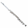 Флейта Powell Sonare PS 601 BEF Flute