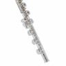 Флейта Powell Sonare PS 601 BEF Flute
