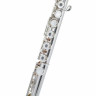 Флейта Powell Sonare PS 601 BEF Flute