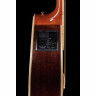 Takamine GD93CE-NAT Набор №461640 Takamine GD93CE-NAT Bundle №461640