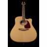 Takamine GD93CE-NAT Набор №461640 Takamine GD93CE-NAT Bundle №461640