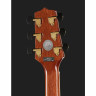 Takamine GD93CE-NAT Набор №461640 Takamine GD93CE-NAT Bundle №461640