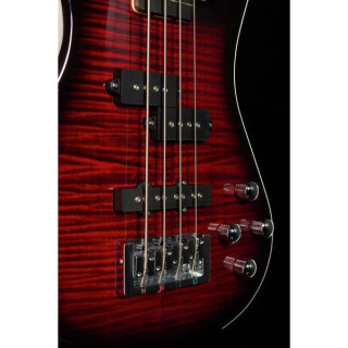 Легенда Спектора Стандарт 4 БЦЖ Spector Legend Standard 4 BCG