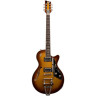 Duesenberg Starplayer TV Золотой расцвет Duesenberg Starplayer TV Gold Burst