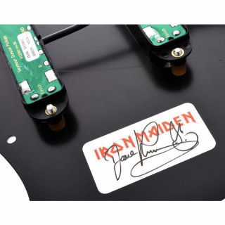 Seymour Duncan Дэйв Мюррей зарядил "Пикг". БК Seymour Duncan Dave Murray Loaded Pickg. BK