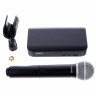 Беспроводная система Shure BLX24/PG58 S8