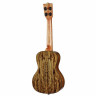 Концертная гавайская гитара Kala Spalted Mango Kala Spalted Mango Concert Ukulele