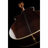 Акустическая гитара Takamine TSF48C Takamine TSF48C