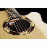 Акустическая гитара Takamine TSF48C Takamine TSF48C
