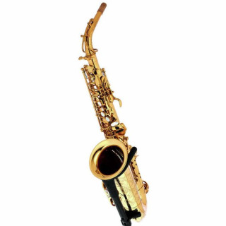 Альт-саксофон Forestone RX с золотым лаком Forestone RX Gold Lacquered Alto Sax