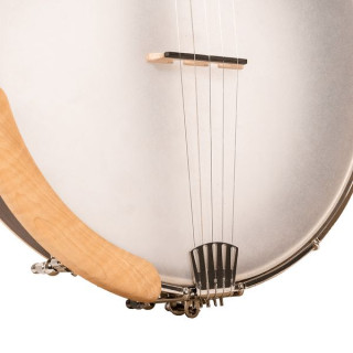 Банджо High Moon HM-100 золотого тона Gold Tone High Moon HM-100 Banjo