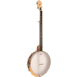 Банджо High Moon HM-100 золотого тона Gold Tone High Moon HM-100 Banjo