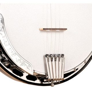 Золотистый тон 5-струнного флердоранжа LW Gold Tone 5-String Orange Blossom LW