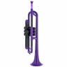 пТрумпет Труба Фиолетовая pTrumpet Trumpet Violet