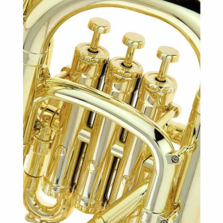 Эуфониум Startone PEP-20 GOLD Bb-Euphonium