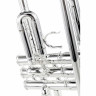 Труба Thomann TR 620 S Bb-Trumpet Thomann TR 620 S Bb-Trumpet