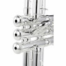 Труба Thomann TR 620 S Bb-Trumpet Thomann TR 620 S Bb-Trumpet