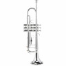 Труба Thomann TR 620 S Bb-Trumpet Thomann TR 620 S Bb-Trumpet