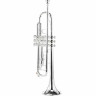 Труба Thomann TR 620 S Bb-Trumpet Thomann TR 620 S Bb-Trumpet