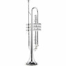 Труба Thomann TR 620 S Bb-Trumpet Thomann TR 620 S Bb-Trumpet
