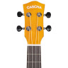 Ка́шка Концерт Уке Лайден Сет YLW Cascha Concert Uke Linden Set YLW