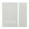 Виолончель Pirastro Perpetual Edition D 4/4 Pirastro Perpetual Edition Cello D 4/4