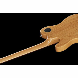 Электрогитара Fender JA-90 Jim Adkins NA IL Fender JA-90 Jim Adkins NA IL