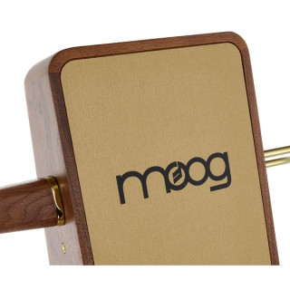 Столетний терменвокс Moog Claravox Moog Claravox Centennial Theremin