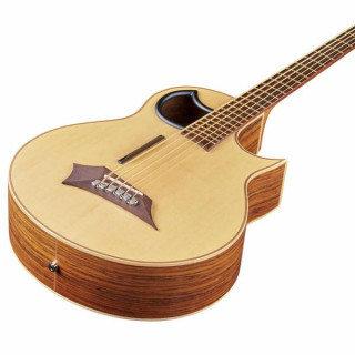 Акустическая бас-гитара Warwick Alien 5 NT