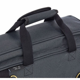 Ritter RBS7 альт-саксофон MGB Ritter RBS7 Alto Sax MGB