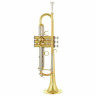 Schagerl TR-421L Bb-Труба Schagerl TR-421L Bb-Trumpet