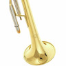 Schagerl TR-421L Bb-Труба Schagerl TR-421L Bb-Trumpet