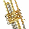 Schagerl TR-421L Bb-Труба Schagerl TR-421L Bb-Trumpet