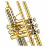 Schagerl TR-421L Bb-Труба Schagerl TR-421L Bb-Trumpet