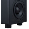 Активный сабвуфер EVE audio TS107 EVE audio TS107
