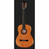 Фелипе Конде FP-14 Студия фламенко Felipe Conde FP-14 Flamenco Estudio