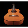 Фелипе Конде FP-14 Студия фламенко Felipe Conde FP-14 Flamenco Estudio