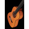 Фелипе Конде FP-14 Студия фламенко Felipe Conde FP-14 Flamenco Estudio